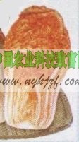 新育特色品种--红心大白菜